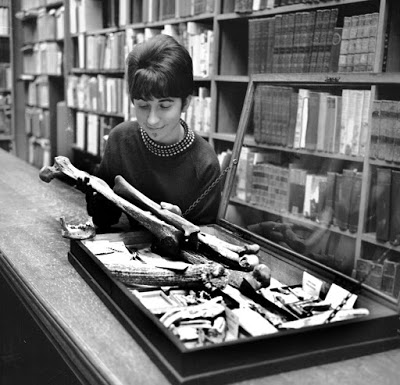 A librarian in Llandudno library examines some of the bones from Kendrick&#39;s cave on the Great Orme, LLandudno.  1960&#39;s.